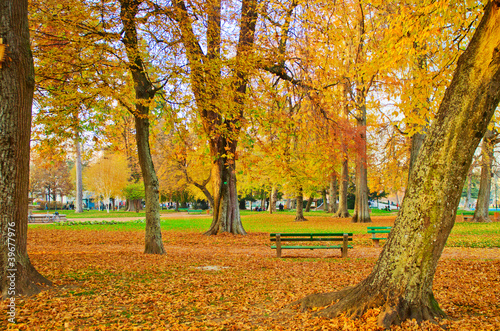 Autumn in the city park