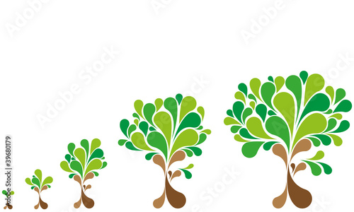 Growth