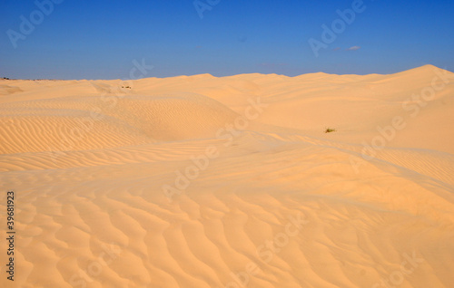 sahara occidental 16 © fannyes