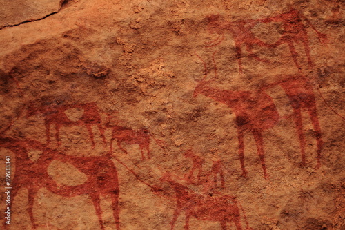 Felszeichnungen in der Sahara photo