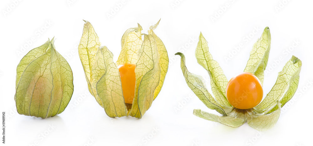 Physalis fruit Physalis fruit
