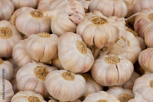 many garlics from near