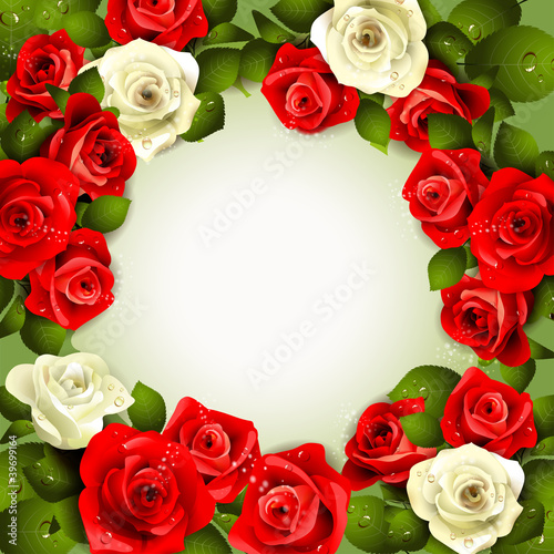 Background with white and red roses