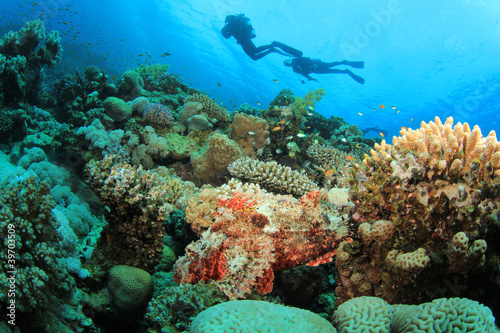 Fototapeta Naklejka Na Ścianę i Meble -  Coral Reef, Scorpionfish and Scuba Divers