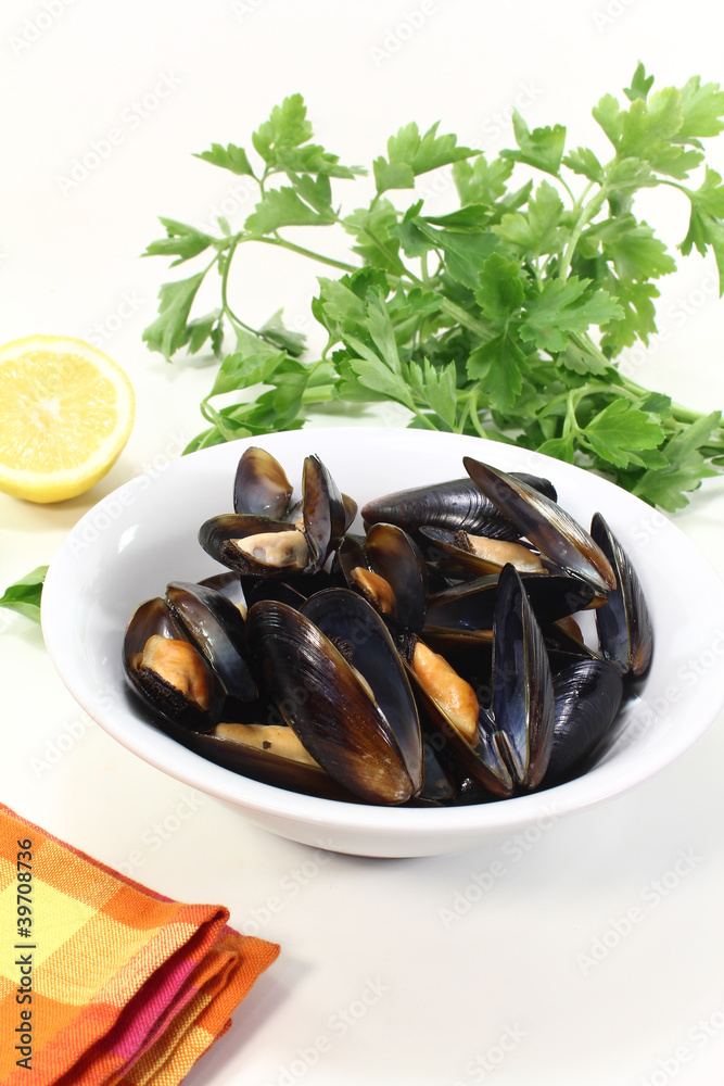gedünstete Miesmuscheln in einer Schale gedünstete Miesmuscheln in einer Schale