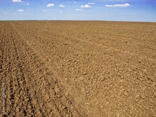 plowed field