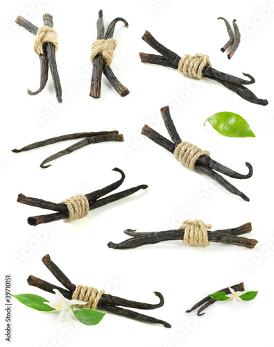 Vanilla sticks and flowers