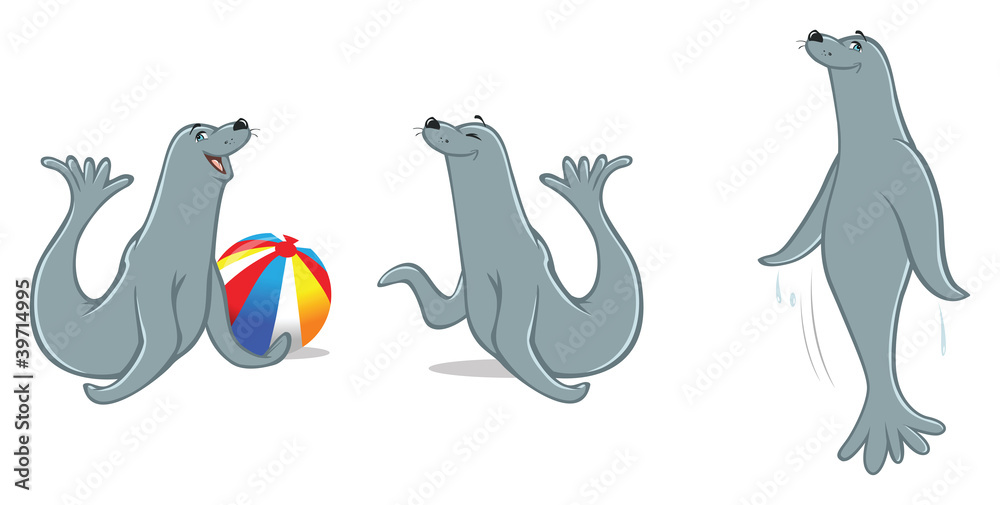 Obraz premium seal poses