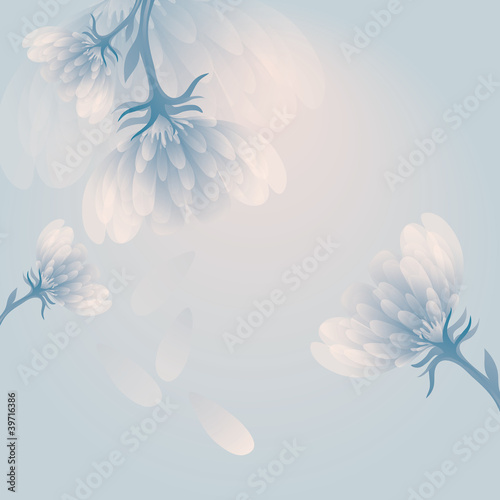 Snow peony / Soft blue flower background