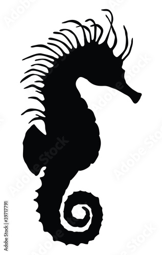 Sea horse silhouette
