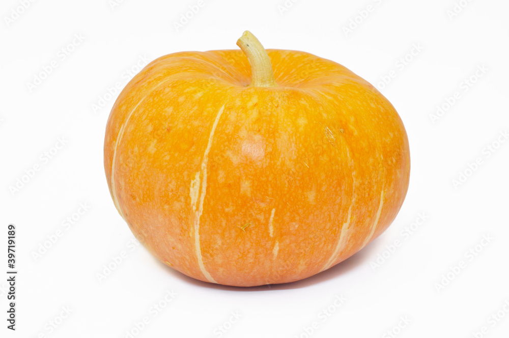 Obraz premium Pumpkin