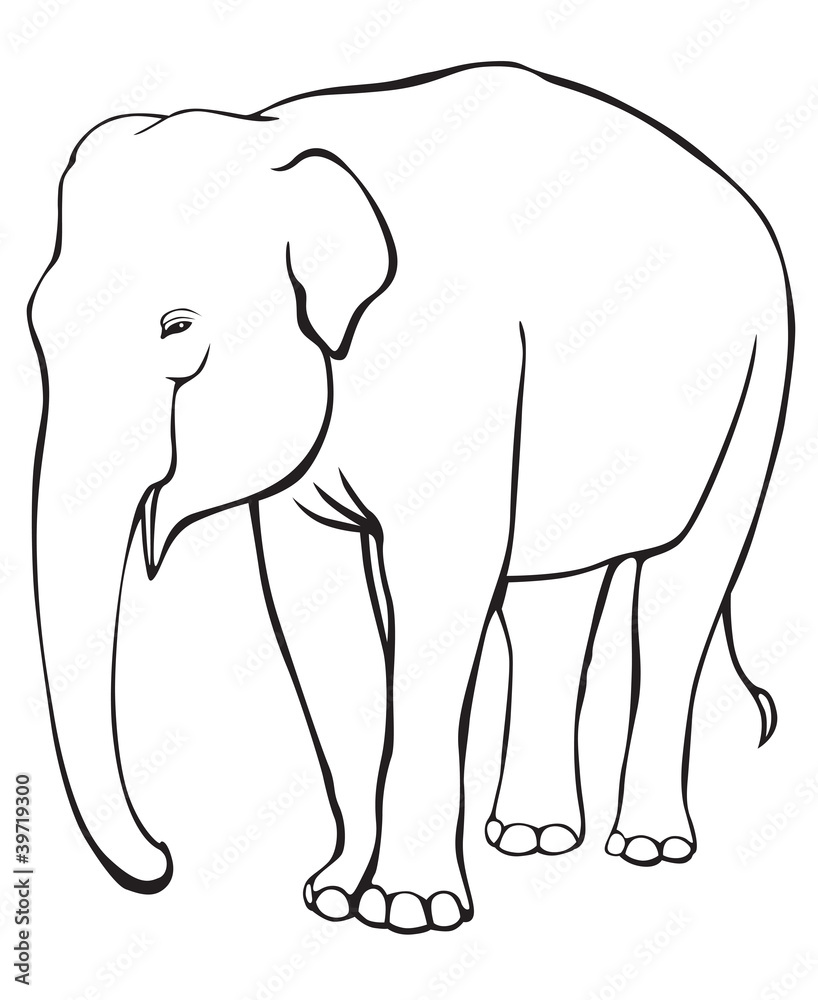 Elephant Elephant