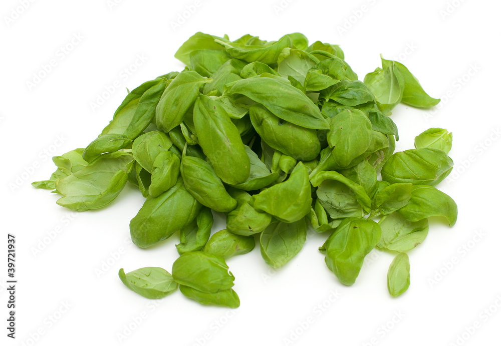basil leafs basil leafs