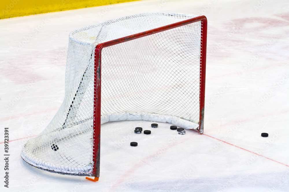 Naklejka premium ice hockey net