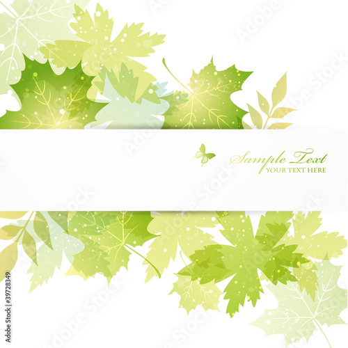 green leaves background