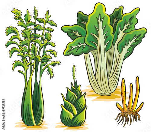 Green Vegetables Collection