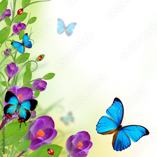 Beautiful floral design