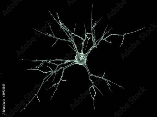 Neuron