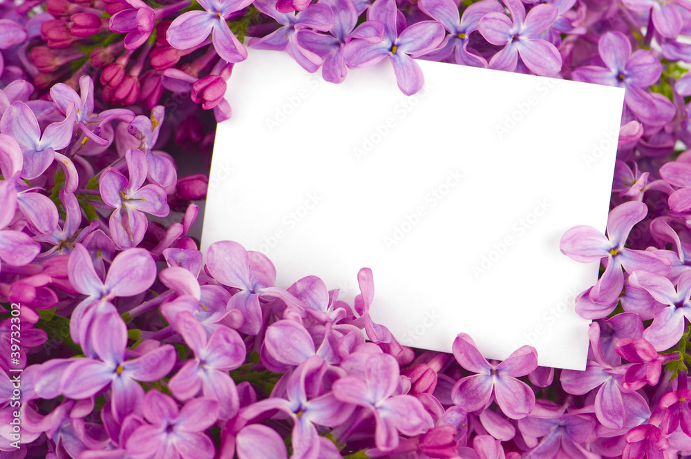Lilac flowers with white card