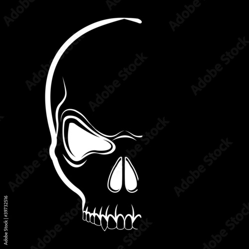 Vector skull in shadow