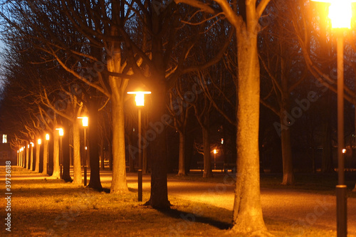 Schloss Bruchsal bei Nacht photo