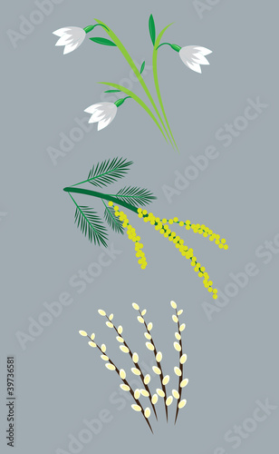 Early flowers