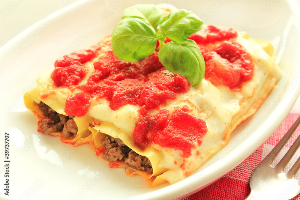 Italian cannelloni