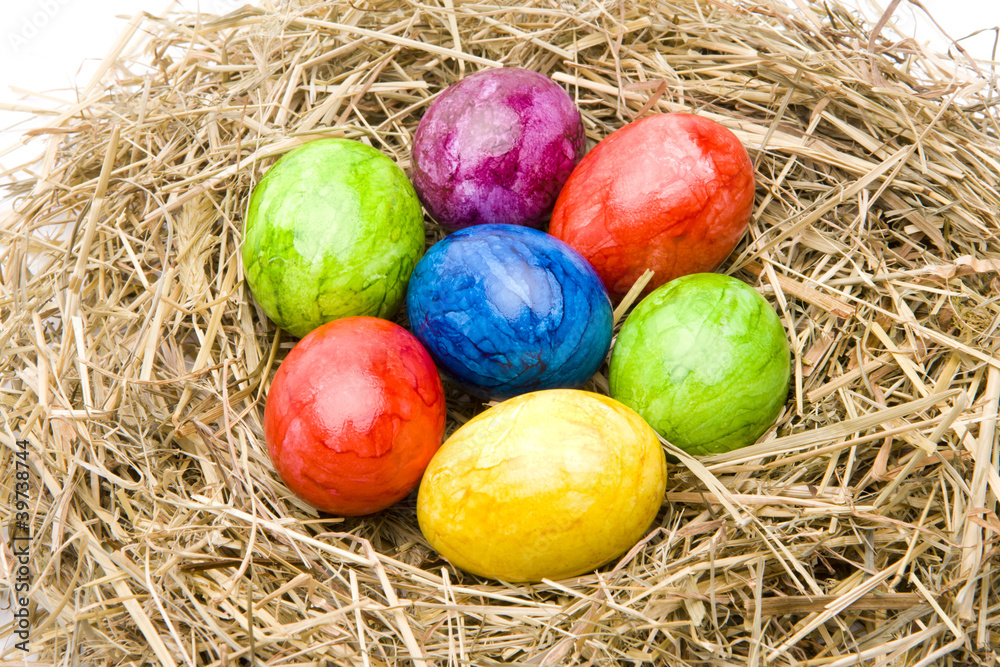 Obraz premium Bunte Eier im Nest