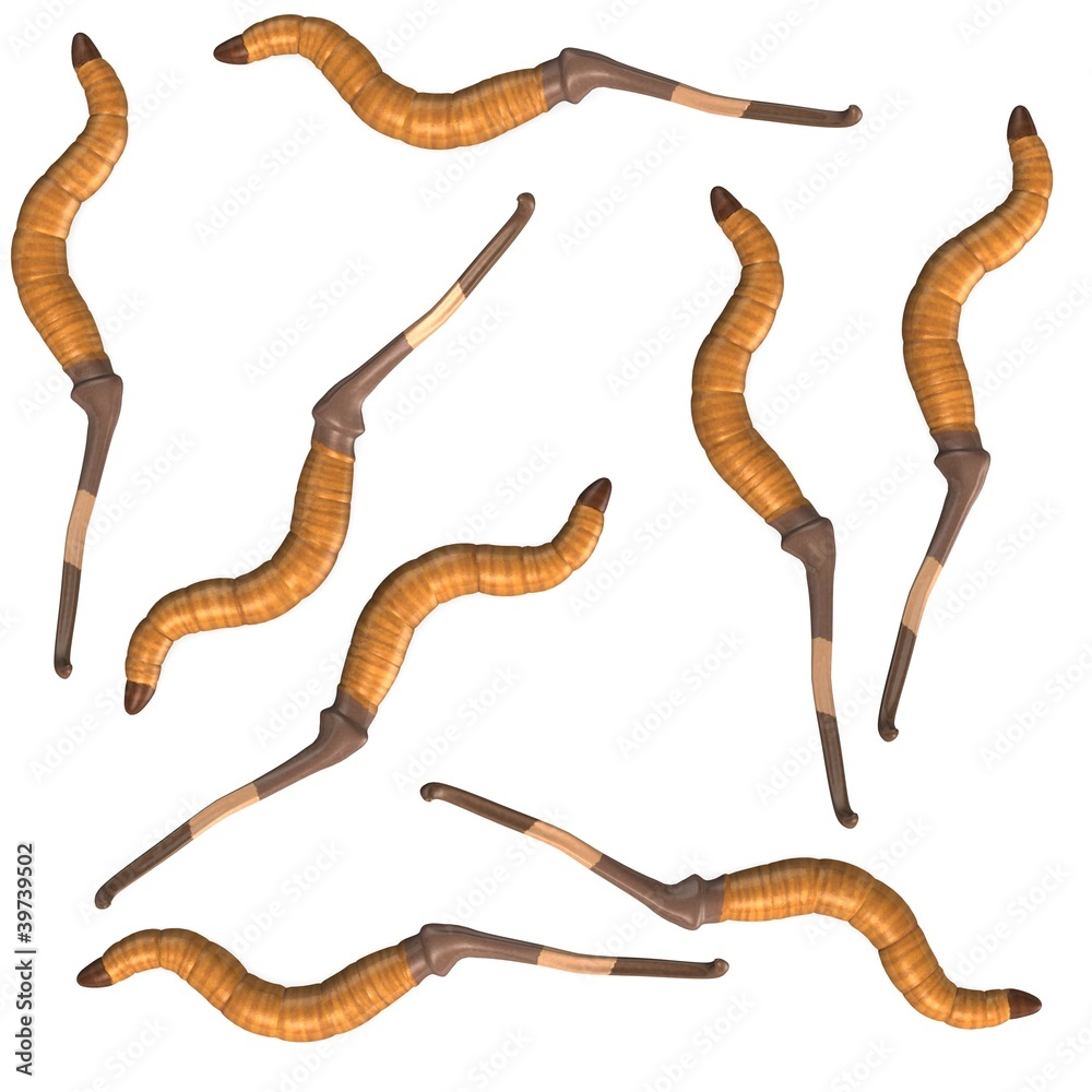 Obraz premium 3d render of worm insects