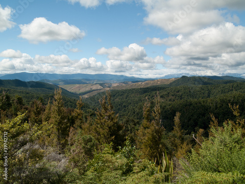 Forêt de Abel Tasman