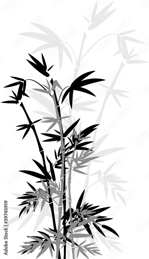 Fototapeta premium Bamboo theme