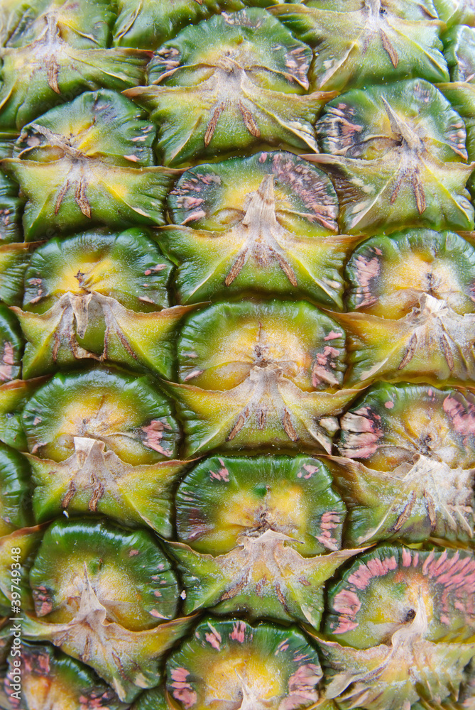 Pineapple skin close up Pineapple skin close up