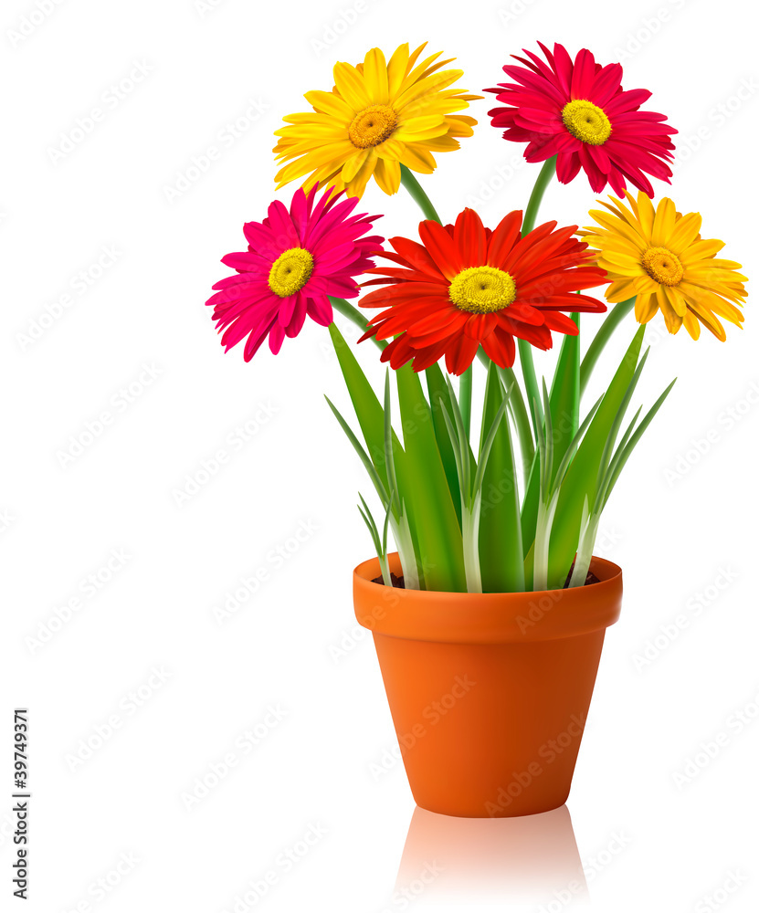 Fresh spring color flowers  Vector illustration