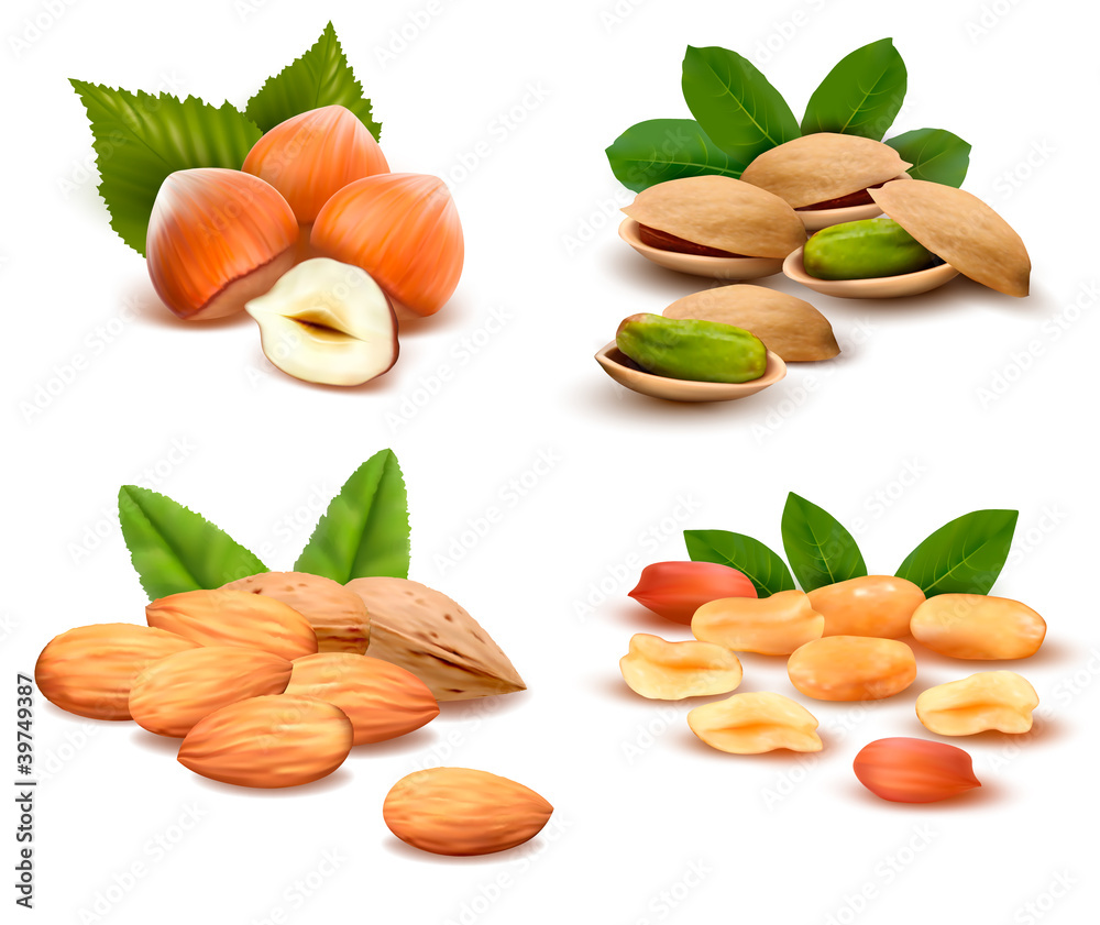 Big collection of ripe nuts Vector Big collection of ripe nuts Vector