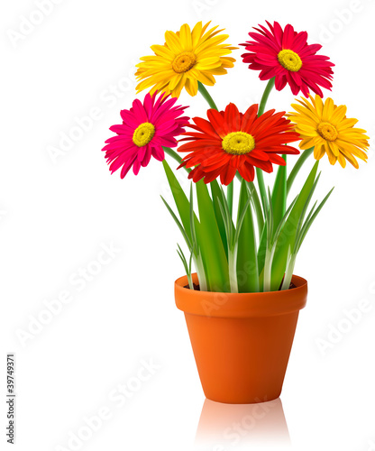 Fresh spring color flowers Vector illustration