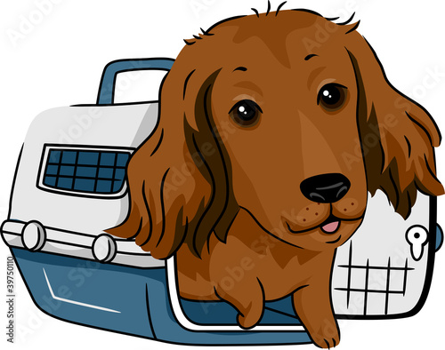 Dog Crate