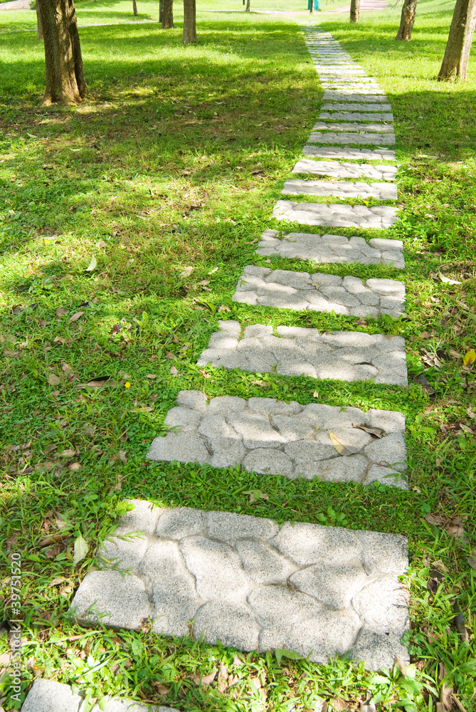 stone walkway through forest stone walkway through forest