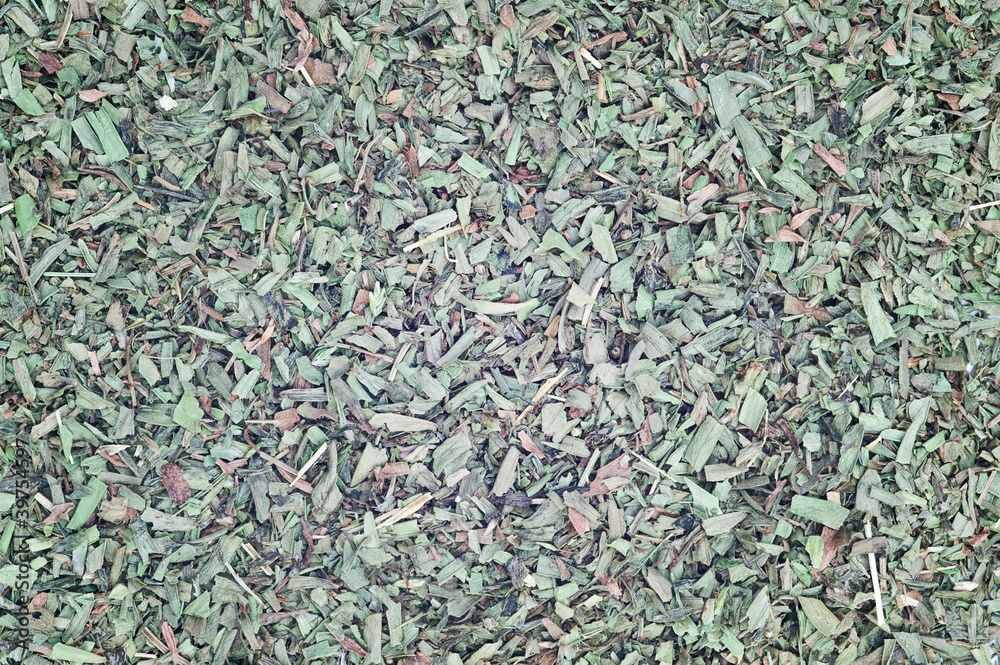 Chopped tarragon for use as background Chopped tarragon for use as background