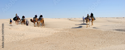 méharée sahara occidental  panoramique