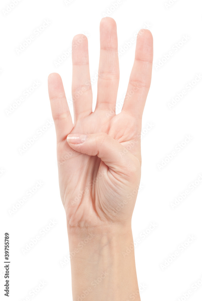 Hand Gesture - Number Four isolated on white Hand Gesture - Number Four isolated on white