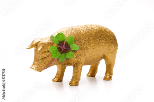Glückschwein