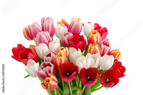 Fototapeta Naklejka Na Ścianę i Meble -  Bunter Tulpenstrauß
