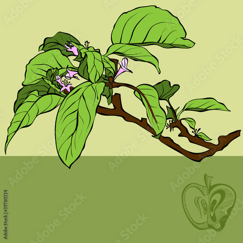 floral background