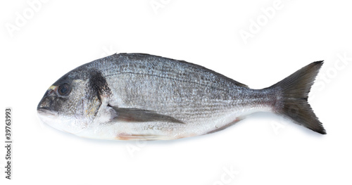 Fresh fish isolated on white © Africa Studio