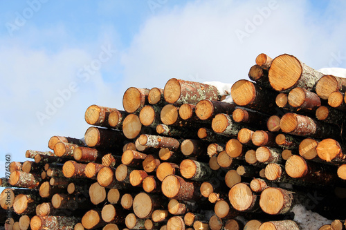 Cut wood fuel with snow, blue sky and few clouds