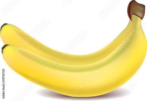 two yellow bananas isolated on white photo-realistic