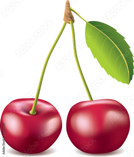 cherry isolated on white photo-realistic vector illustration