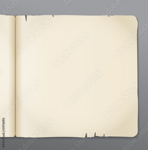 Old opened book pages background.