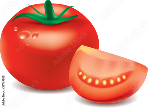 tomato isolated on white photo-realistic vector illustration