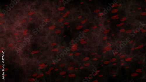 red  blood cells in the body